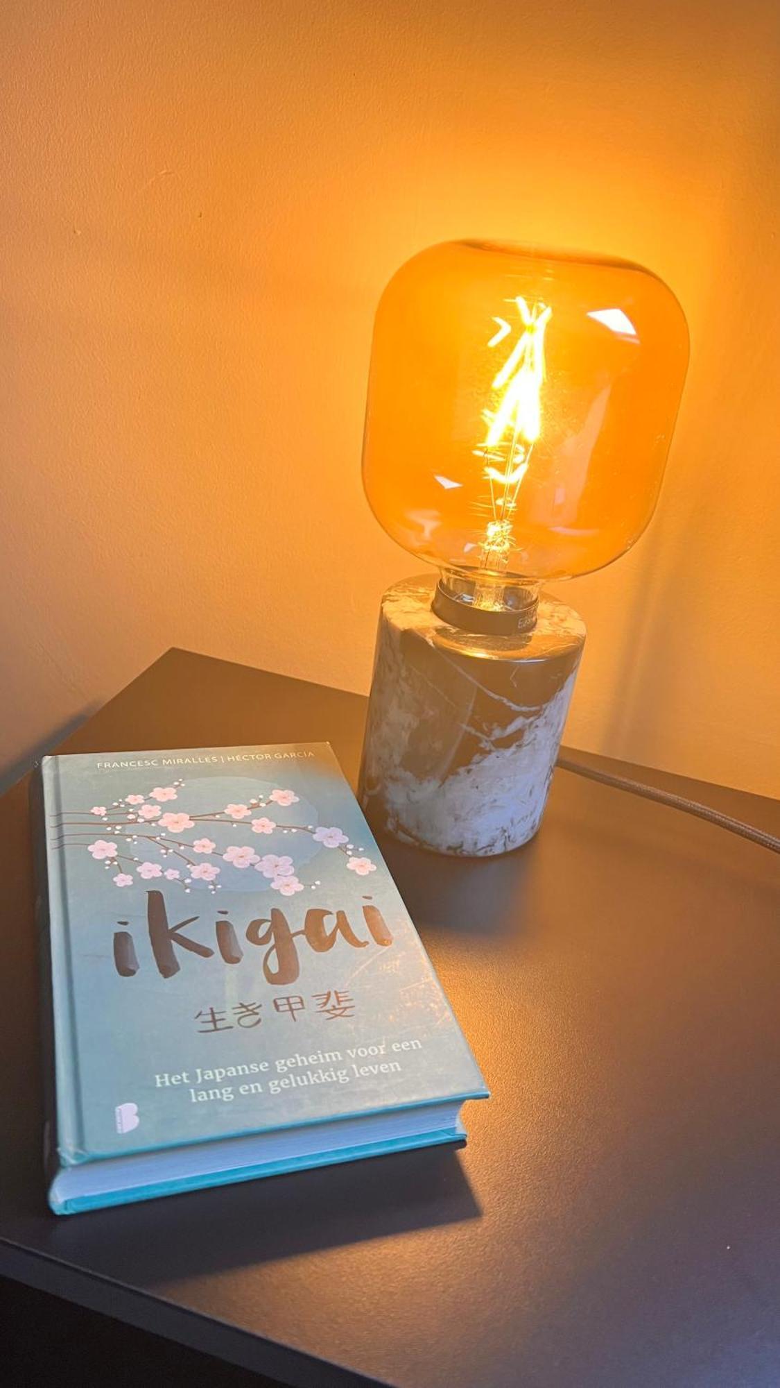 Ikigai B&B - Wellness Oud-Turnhout Quarto foto